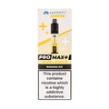 Pro Max 6000+ Pod Kit